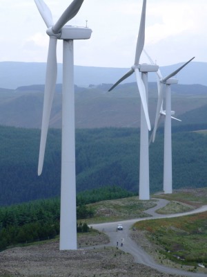the musselroe wind farm travesty .....